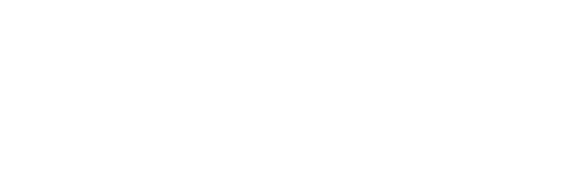 Jaidson Zini